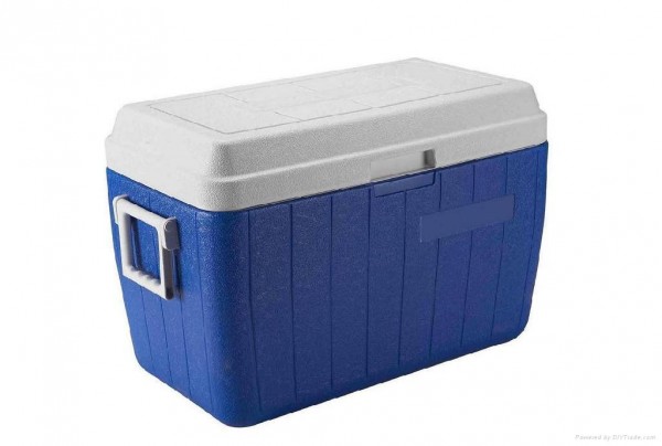 coolerbox 30 realistic things you should own at 30