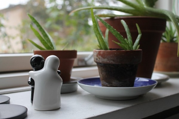 plant 30 realistic things you should own at 30