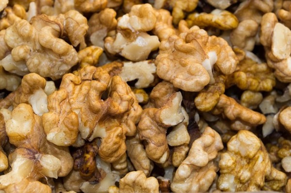 walnuts 14 things you should NEVER feed your dogs